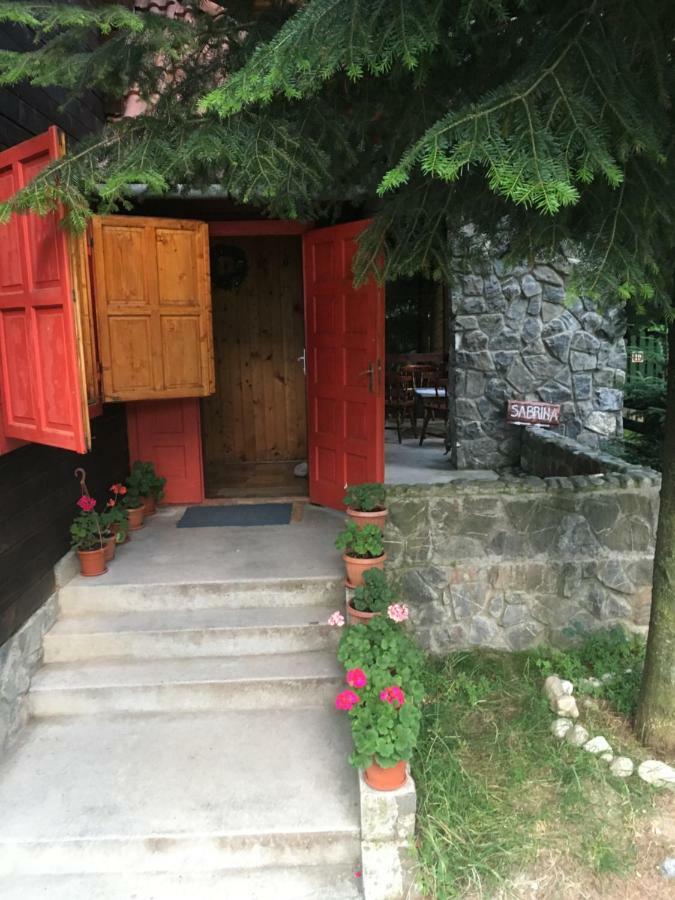 Cabana Sabrina Villa Bran  Exterior photo